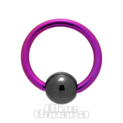 Blue Banana Coloured Titanium 1.2mm BCR (Purple/Black)