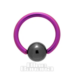 Blue Banana Coloured Titanium 1.6mm BCR (Purple/Black)