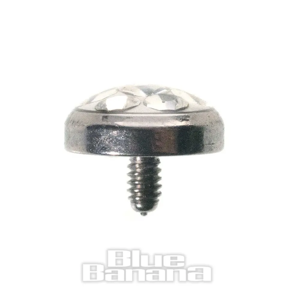 Blue Banana 5mm Glitter Dermal Top (Crystal Clear)