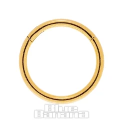 Blue Banana 1.0mm Hinged Segment Ring (Gold)