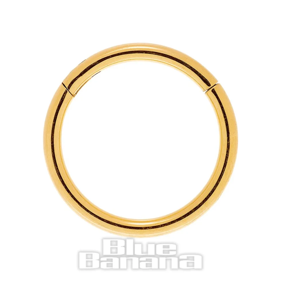 Blue Banana 1.0mm Hinged Segment Ring (Gold)