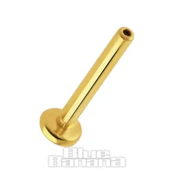 Blue Banana Polished Titanium 1.2 X 8mm Wings Threadless Labret (Gold)