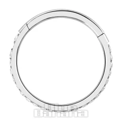 Blue Banana Polished Titanium Eternity Hinged Segment Ring (Silver)