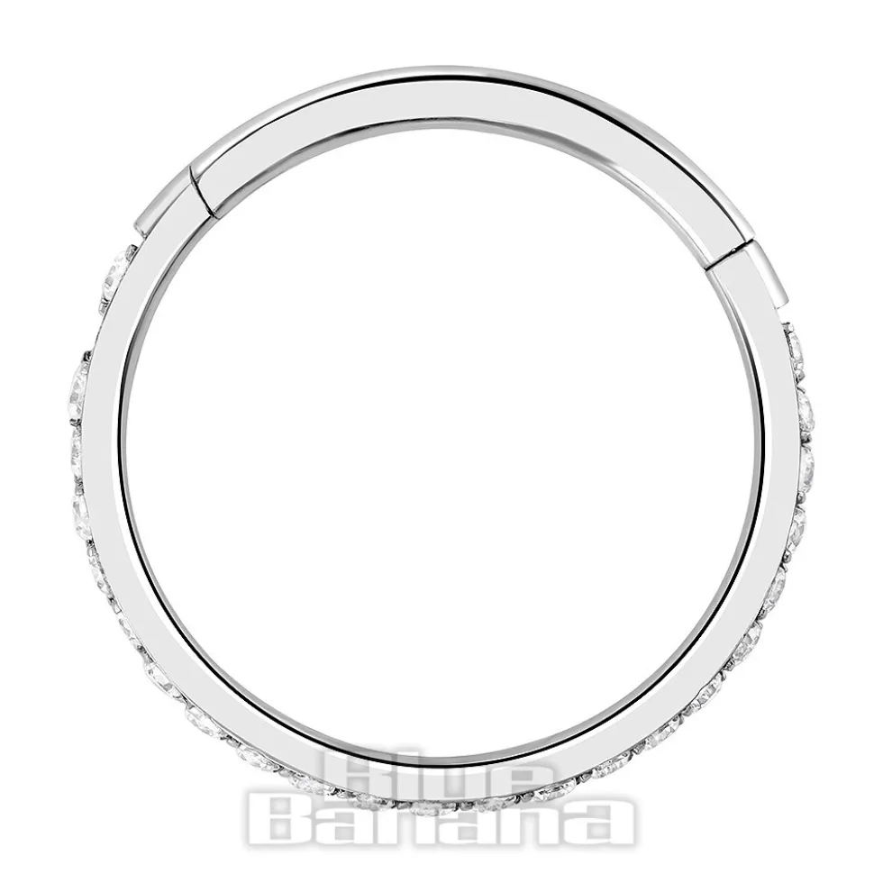 Blue Banana Polished Titanium Eternity Hinged Segment Ring (Silver)