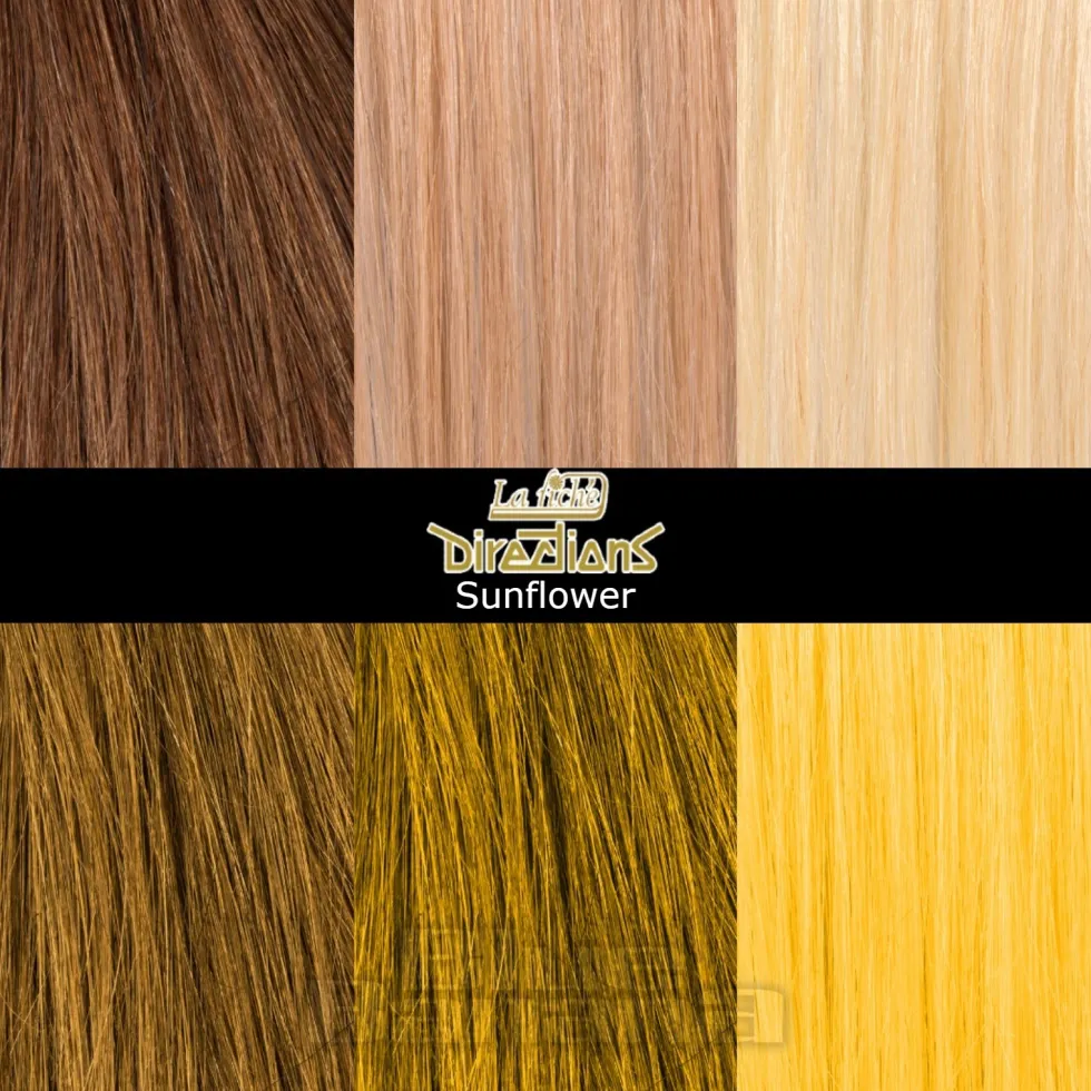 La Riche Directions Colour Hair Dye 88ml (Sunflower)