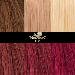 La Riche Directions Colour Hair Dye 4 Pack 88ml (Tulip)