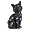 Nemesis Now Bad To The Bone Figurine (22 CM)