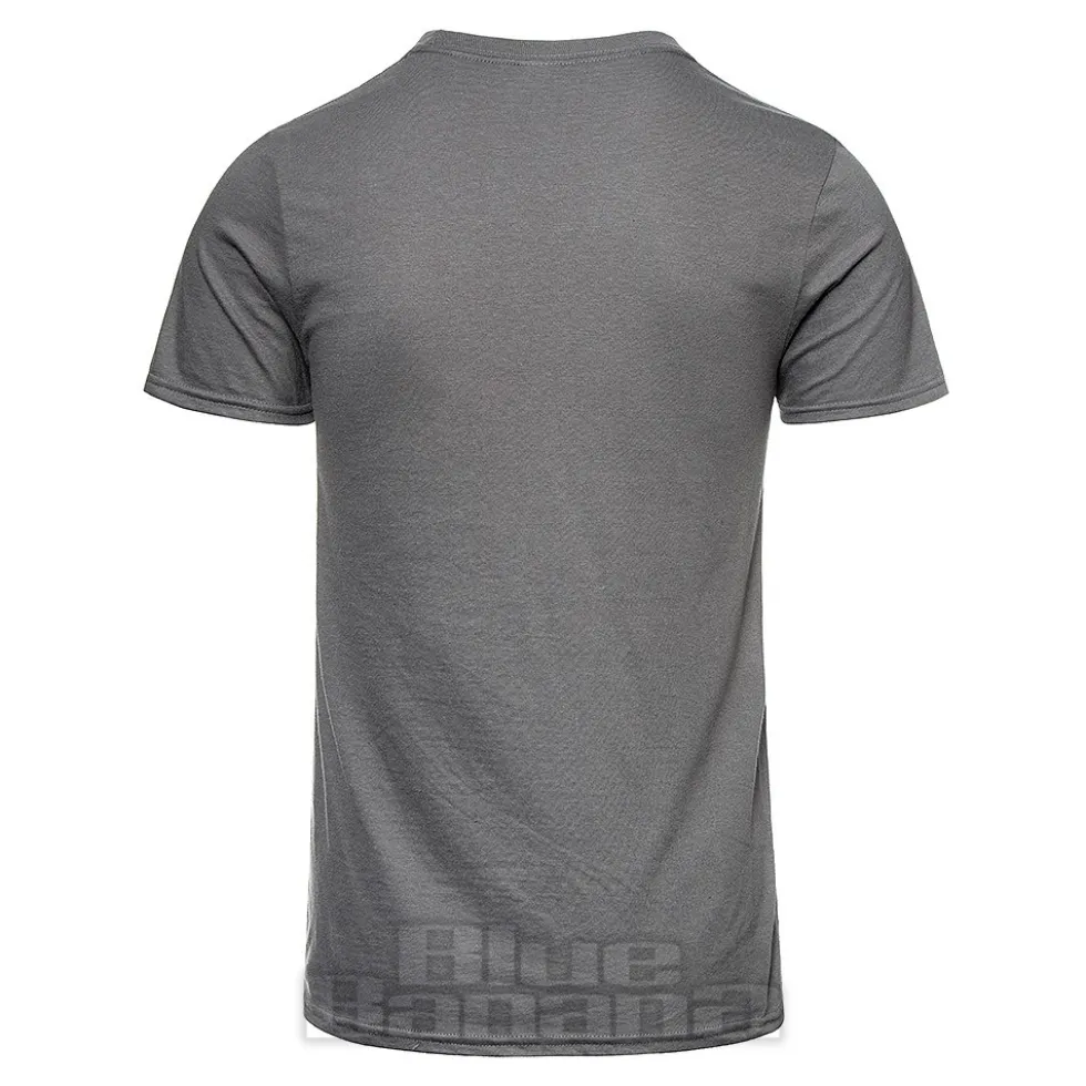 Official Foo Fighters Matter of Time T Shirt (Grey)